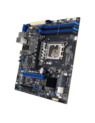 PB S-1700 ASUS P13R-M DDR5 PN: 90SB0C70-M0UAY1...