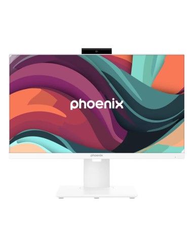 257401 AIO   23.8" PHOENIX     BAREBONE...